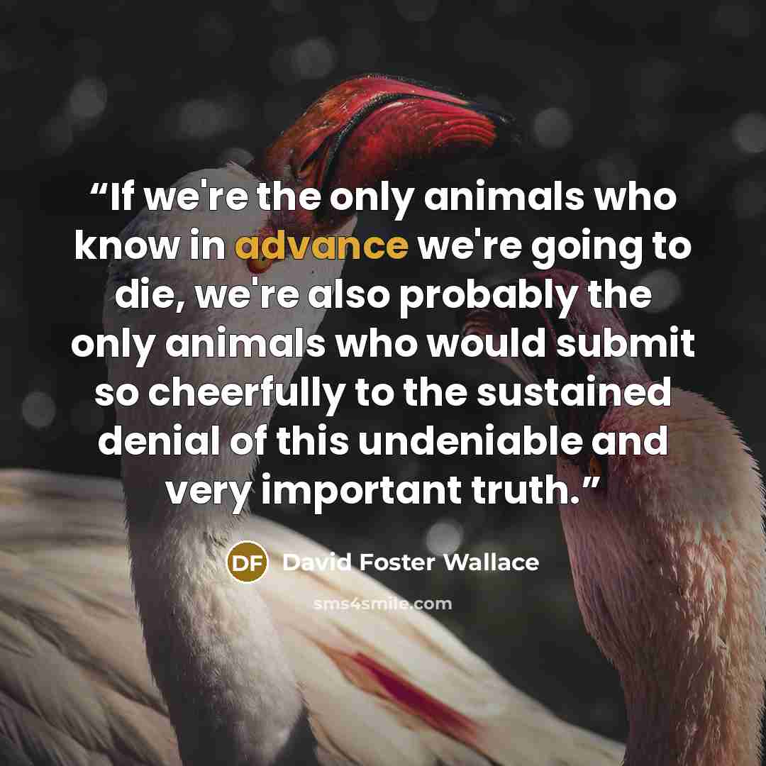 “If we're the only animals who know in advance we're going to die, we're also probably the only animals who would submit so cheerfully to the sustained denial of this undeniable and very important truth.” quote by David Foster Wallace