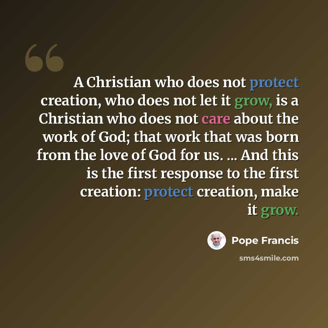 “A Christian who does not protect creation, who does not let it grow, is a Christian who does not care about the work of God; that work that was born from the love of God for us. ... And this is the first response to the first creation: protect creation, make it grow.” quote by Pope Francis