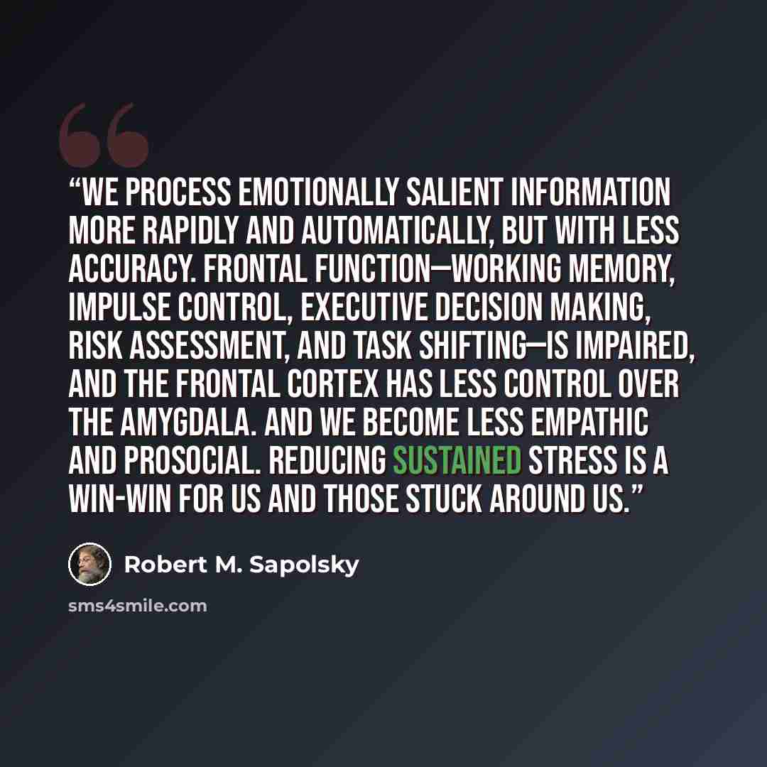 “We process emotionally salient information more rapidly and automatically, but with less accuracy. Frontal function—working memory, impulse control, executive decision making, risk assessment, and task shifting—is impaired, and the frontal cortex has less control over the amygdala. And we become…” quote by Robert M. Sapolsky