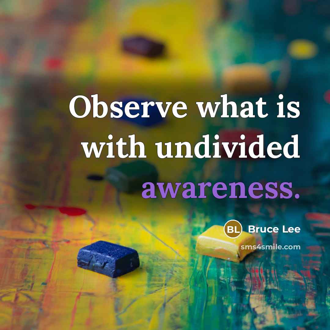 “Observe what is with undivided awareness.” quote by Bruce Lee