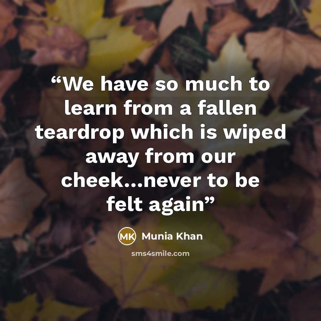 “We have so much to learn from a fallen teardrop which is wiped away from our cheek…never to be felt again” quote by Munia Khan