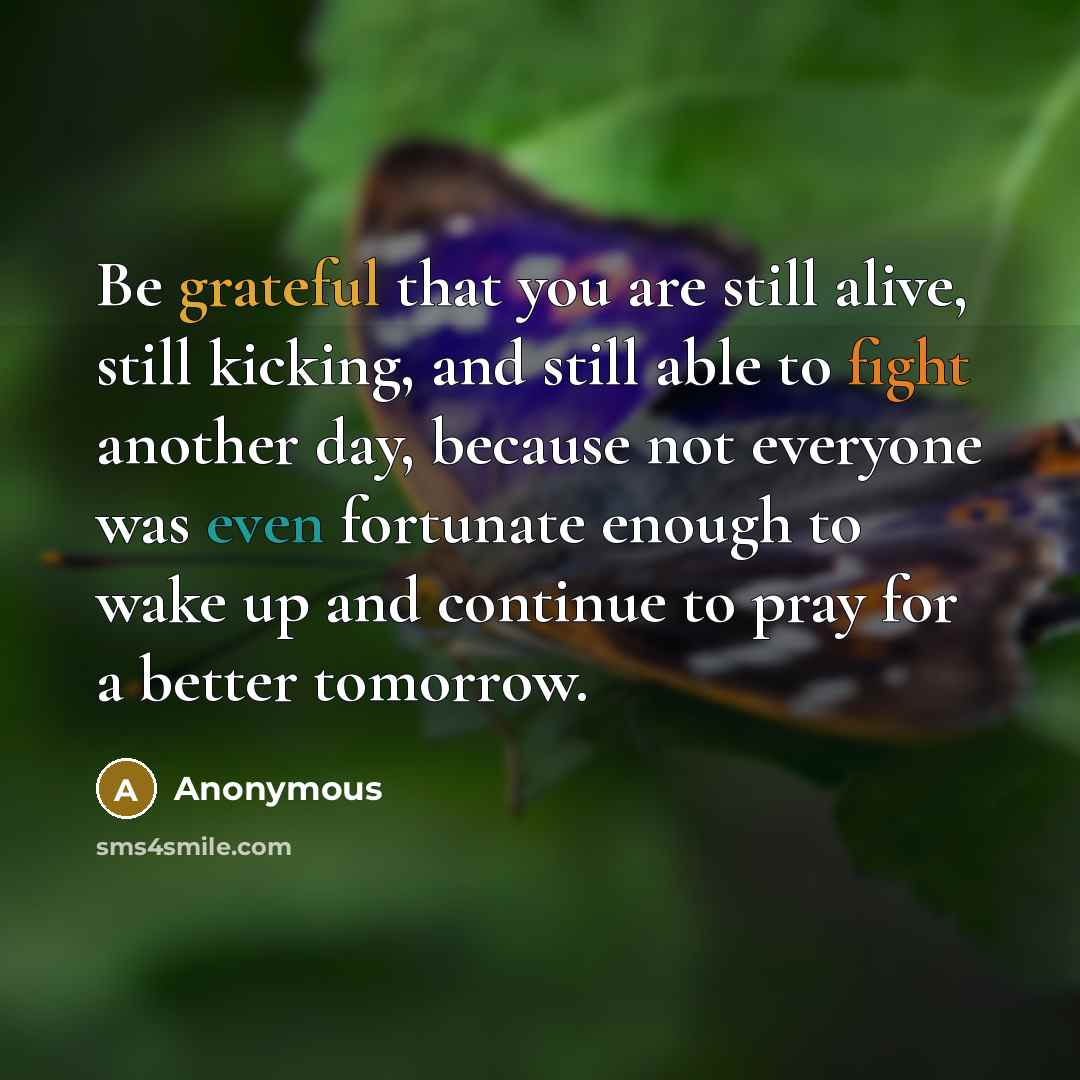 “Be grateful that you are still alive, still kicking, and still able to fight another day, because not everyone was even fortunate enough to wake up and continue to pray for a better tomorrow.” quote by Anonymous