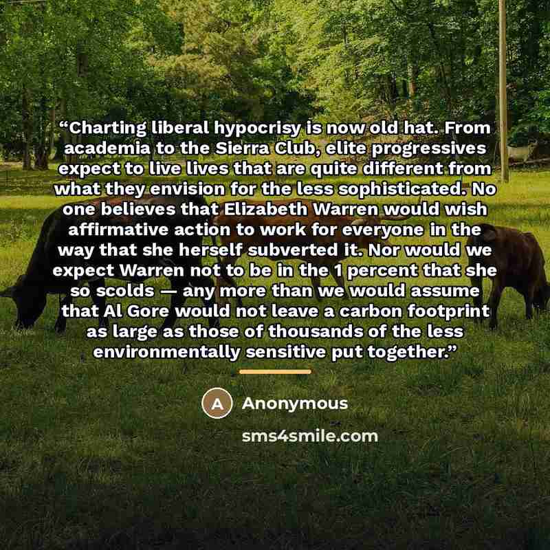 “Charting liberal hypocrisy is now old hat. From academia to the Sierra Club, elite progressives expect to live lives that are quite different from what they envision for the less sophisticated. No one believes that Elizabeth Warren would wish affirmative action to work for everyone in the way that…” quote by Anonymous