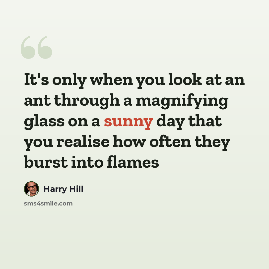 “It's only when you look at an ant through a magnifying glass on a sunny day that you realise how often they burst into flames” quote by Harry Hill