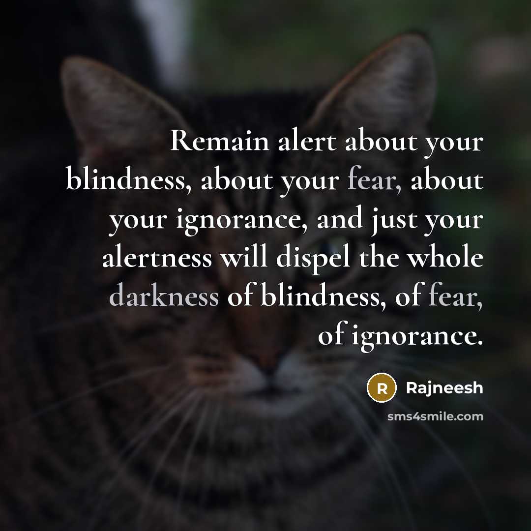 “Remain alert about your blindness, about your fear, about your ignorance, and just your alertness will dispel the whole darkness of blindness, of fear, of ignorance.” quote by Rajneesh