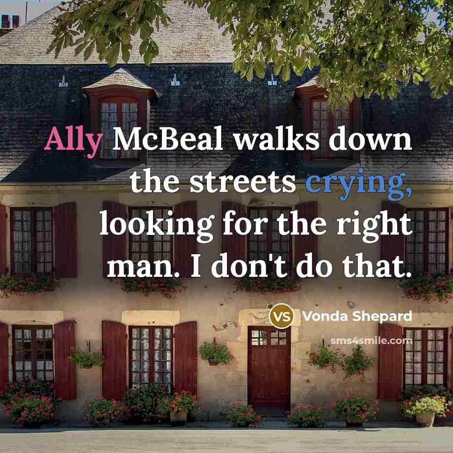 “Ally McBeal walks down the streets crying, looking for the right man. I don't do that.” quote by Vonda Shepard