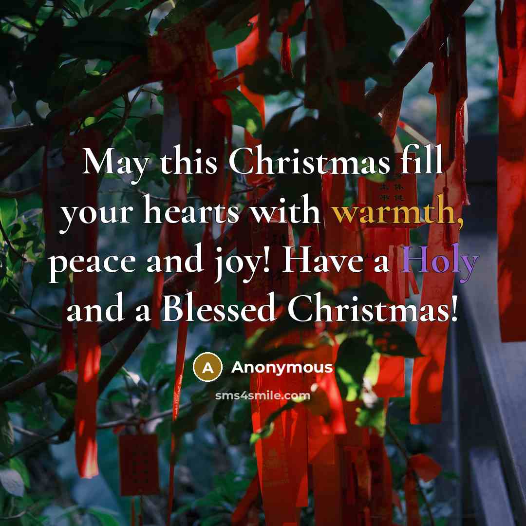 “May this Christmas fill your hearts with warmth, peace and joy! Have a Holy and a Blessed Christmas!” quote by Anonymous