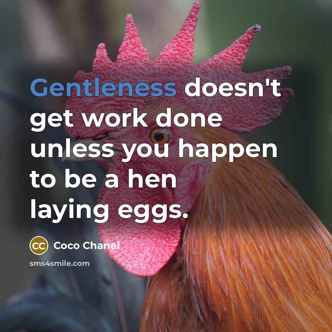 “Gentleness doesn't get work done unless you happen to be a hen laying eggs.” quote by Coco Chanel