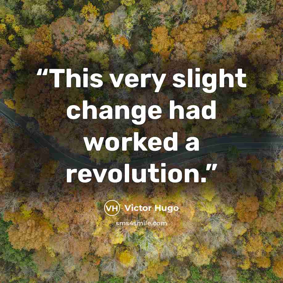 “This very slight change had worked a revolution.” quote by Victor Hugo