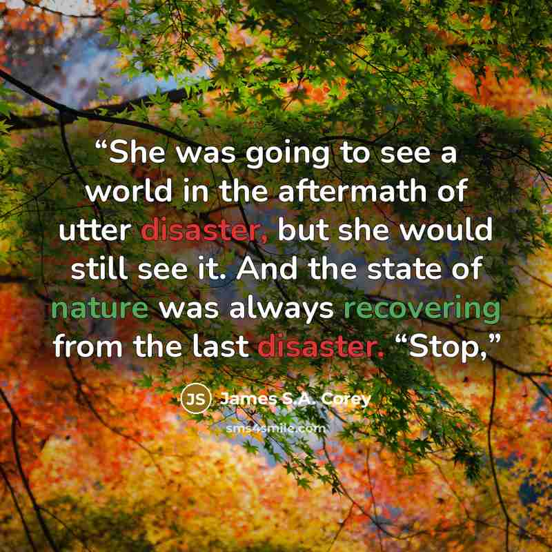 “She was going to see a world in the aftermath of utter disaster, but she would still see it. And the state of nature was always recovering from the last disaster. “Stop,” quote by James S.A. Corey
