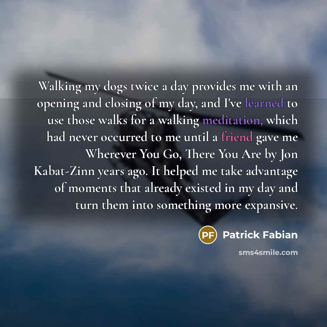 “Walking my dogs twice a day provides me with an opening and closing of my day, and I've learned to use those walks for a walking meditation, which had never occurred to me until a friend gave me Wherever You Go, There You Are by Jon Kabat-Zinn years ago. It helped me take advantage of moments that…” quote by Patrick Fabian