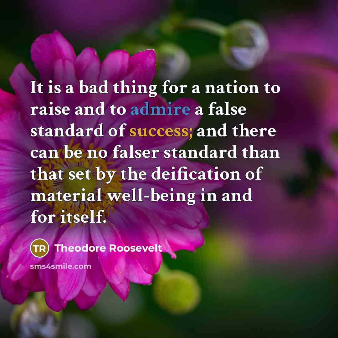 “It is a bad thing for a nation to raise and to admire a false standard of success; and there can be no falser standard than that set by the deification of material well-being in and for itself.” quote by Theodore Roosevelt