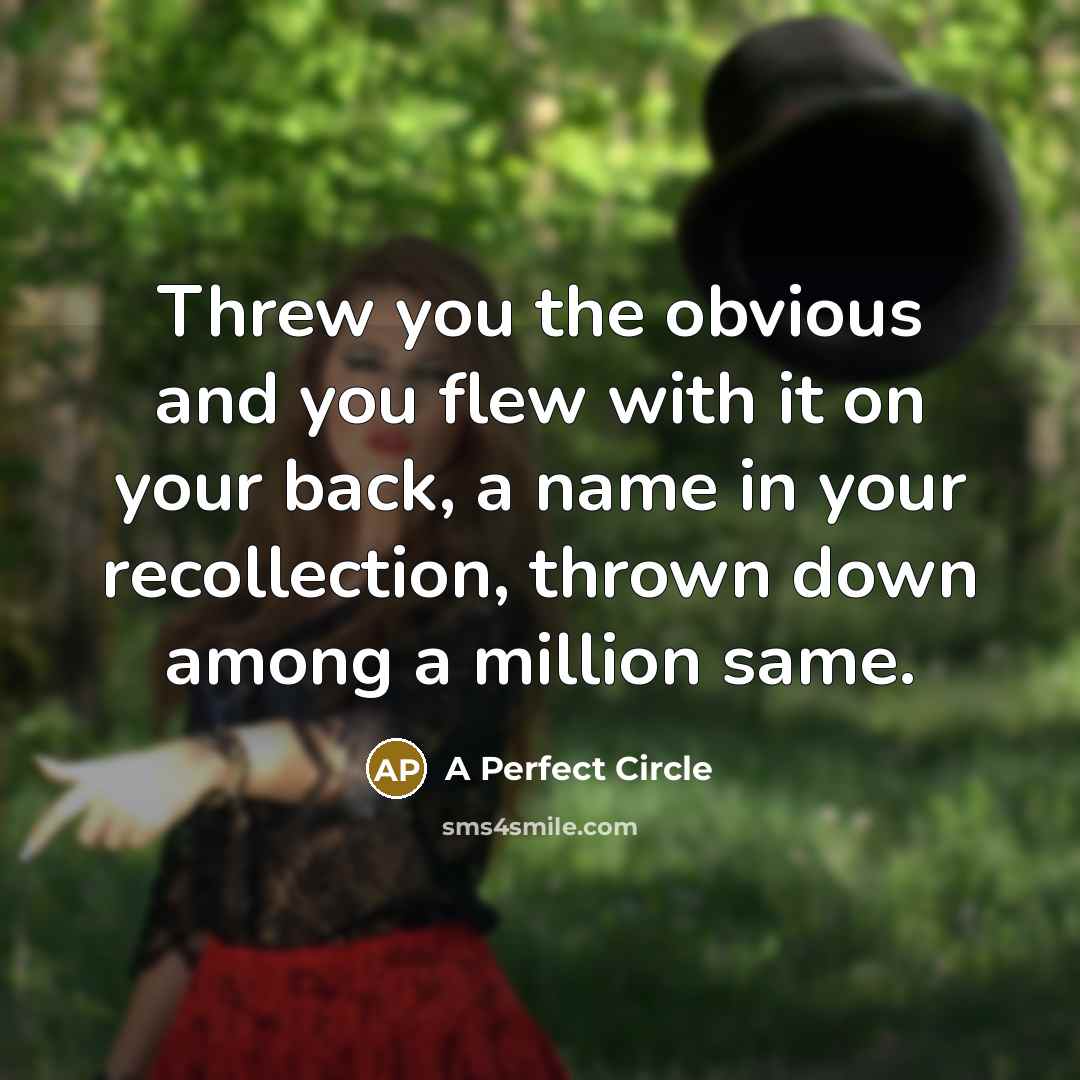 “Threw you the obvious and you flew with it on your back, a name in your recollection, thrown down among a million same.” quote by A Perfect Circle
