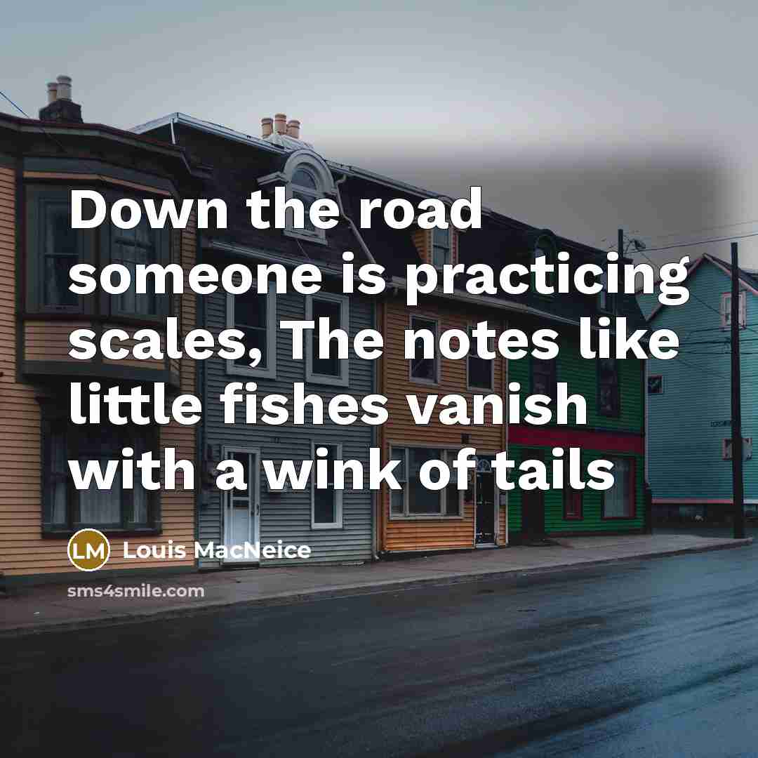 “Down the road someone is practicing scales, The notes like little fishes vanish with a wink of tails” quote by Louis MacNeice