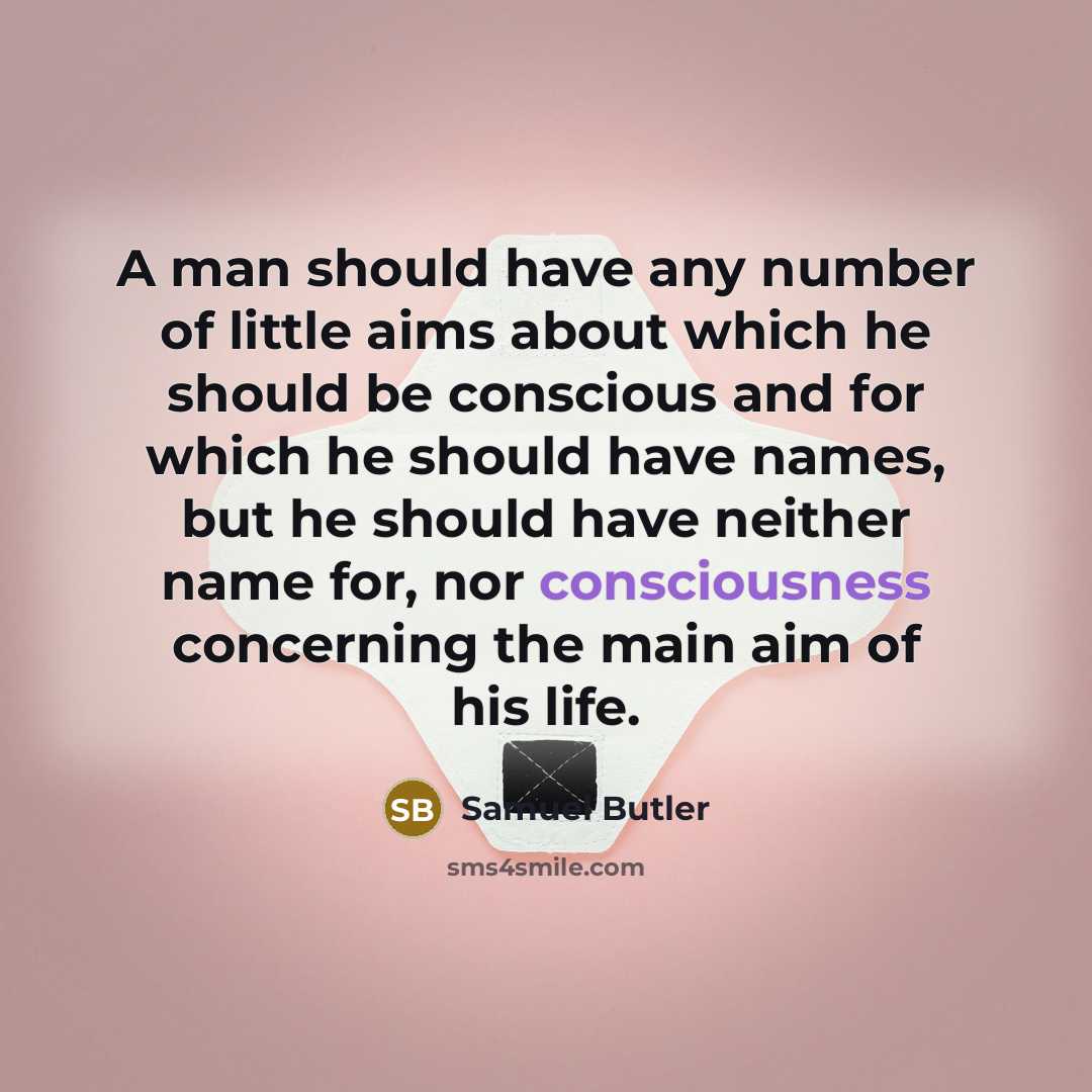 “A man should have any number of little aims about which he should be conscious and for which he should have names, but he should have neither name for, nor consciousness concerning the main aim of his life.” quote by Samuel Butler