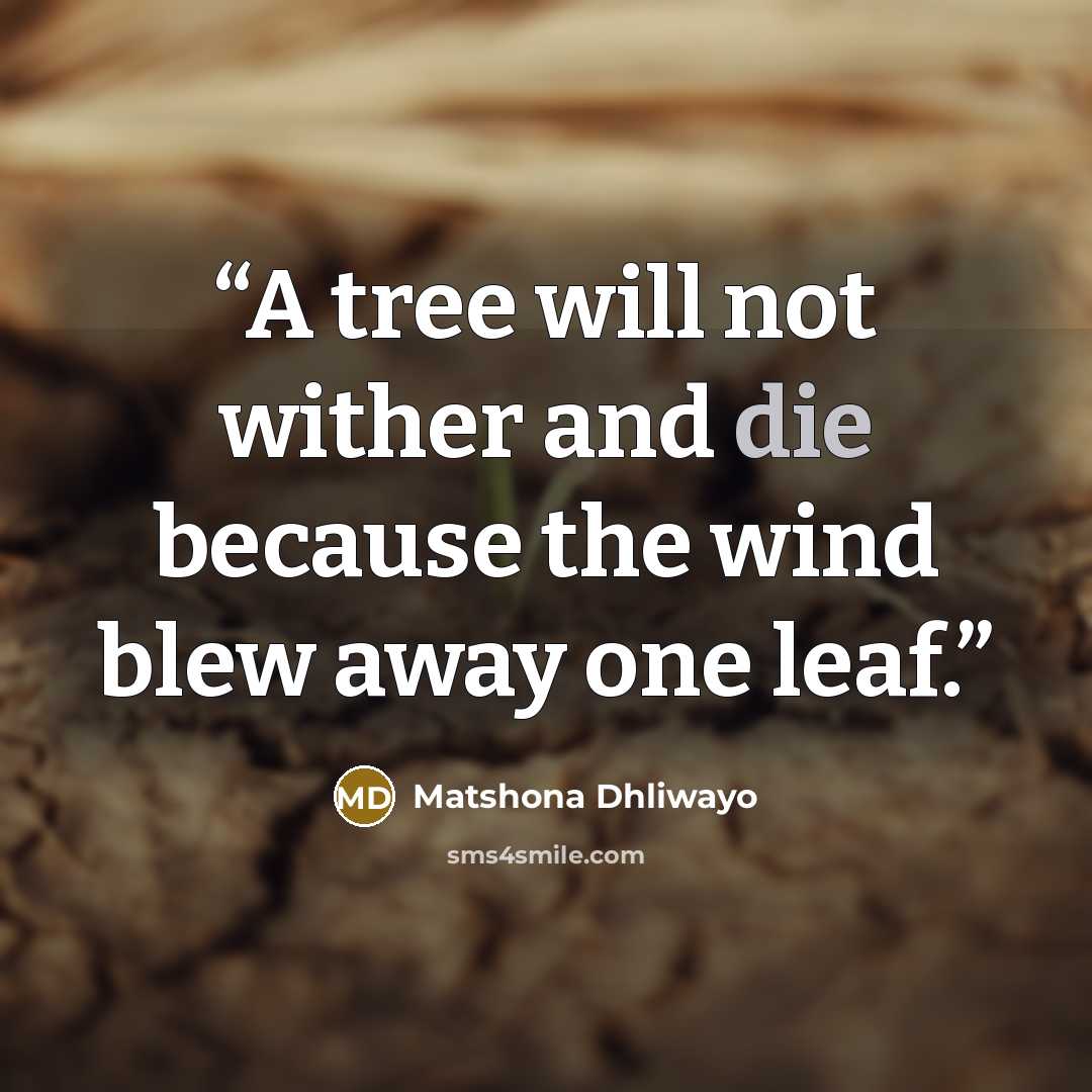“A tree will not wither and die because the wind blew away one leaf.” quote by Matshona Dhliwayo
