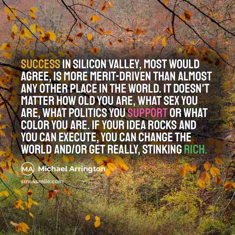 “Success in Silicon Valley, most would agree, is more merit-driven than almost any other place in the world. It doesn't matter how old you are, what sex you are, what politics you support or what color you are. If your idea rocks and you can execute, you can change the world and/or get really…” quote by Michael Arrington