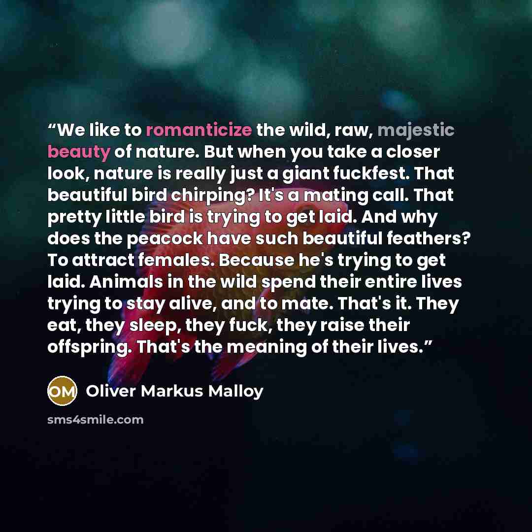 “We like to romanticize the wild, raw, majestic beauty of nature. But when you take a closer look, nature is really just a giant fuckfest. That beautiful bird chirping? It's a mating call. That pretty little bird is trying to get laid. And why does the peacock have such beautiful feathers? To…” quote by Oliver Markus Malloy