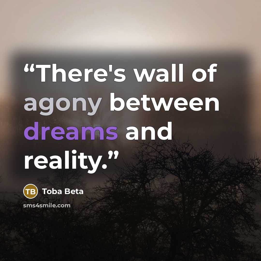 “There's wall of agony between dreams and reality.” quote by Toba Beta