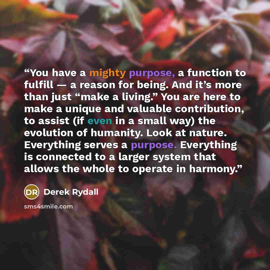 “You have a mighty purpose, a function to fulfill — a reason for being. And it’s more than just “make a living.” You are here to make a unique and valuable contribution, to assist (if even in a small way) the evolution of humanity. Look at nature. Everything serves a purpose. Everything is…” quote by Derek Rydall