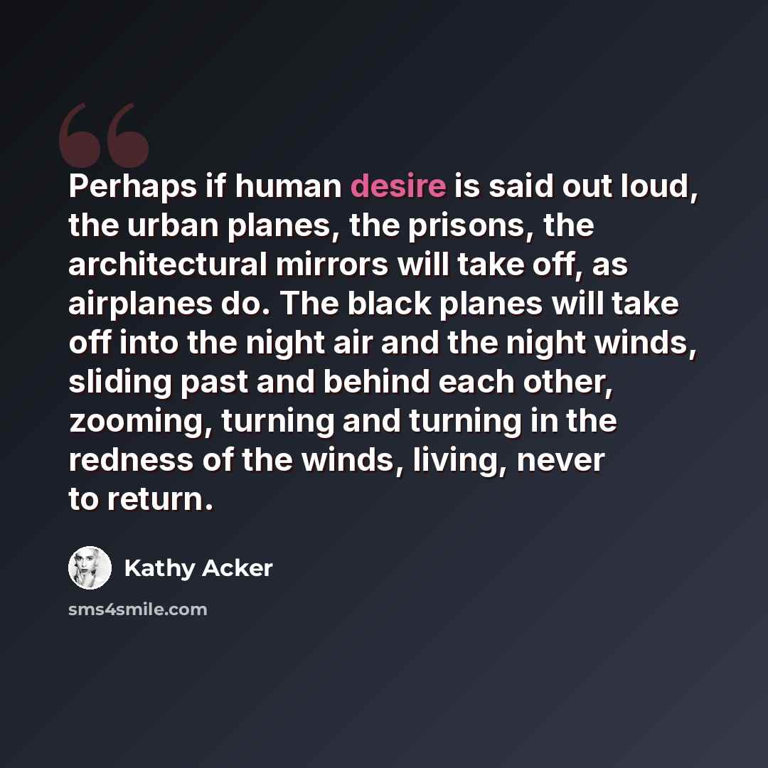 “Perhaps if human desire is said out loud, the urban planes, the prisons, the architectural mirrors will take off, as airplanes do. The black planes will take off into the night air and the night winds, sliding past and behind each other, zooming, turning and turning in the redness of the winds…” quote by Kathy Acker
