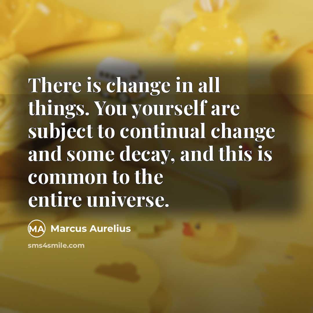“There is change in all things. You yourself are subject to continual change and some decay, and this is common to the entire universe.” quote by Marcus Aurelius