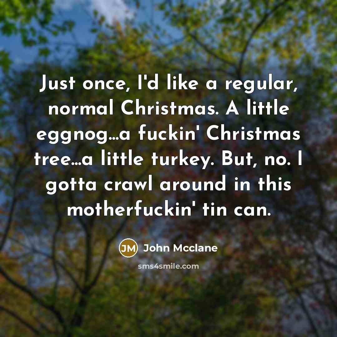 “Just once, I'd like a regular, normal Christmas. A little eggnog...a fuckin' Christmas tree...a little turkey. But, no. I gotta crawl around in this motherfuckin' tin can.” quote by John Mcclane