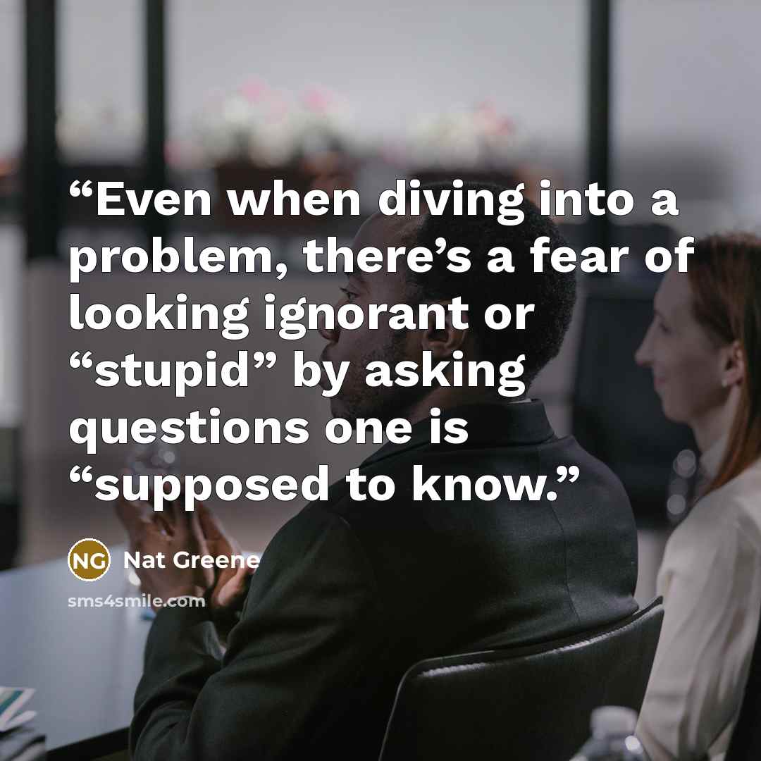 “Even when diving into a problem, there’s a fear of looking ignorant or “stupid” by asking questions one is “supposed to know.” quote by Nat Greene