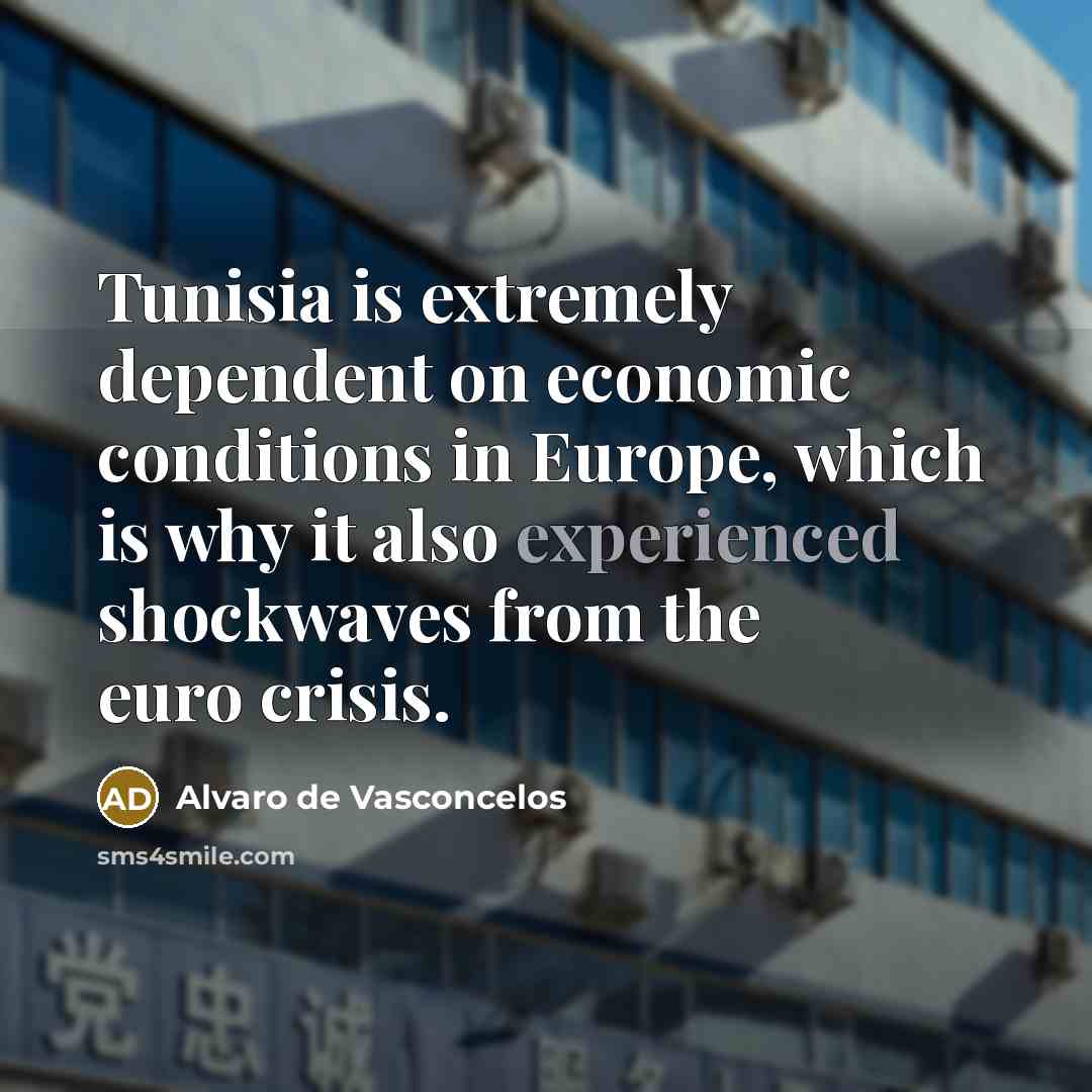“Tunisia is extremely dependent on economic conditions in Europe, which is why it also experienced shockwaves from the euro crisis.” quote by Alvaro de Vasconcelos
