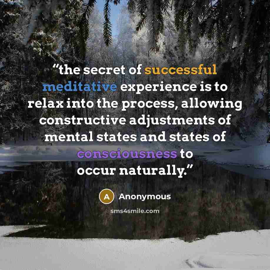 “the secret of successful meditative experience is to relax into the process, allowing constructive adjustments of mental states and states of consciousness to occur naturally.” quote by Anonymous