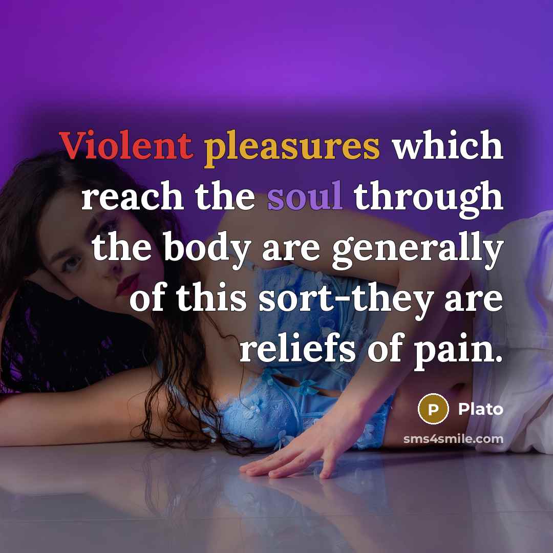 “Violent pleasures which reach the soul through the body are generally of this sort-they are reliefs of pain.” quote by Plato
