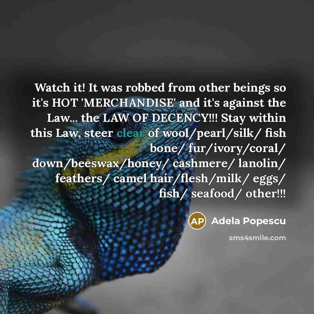 “Watch it! It was robbed from other beings so it's HOT 'MERCHANDISE' and it's against the Law... the LAW OF DECENCY!!! Stay within this Law, steer clear of wool/pearl/silk/ fish bone/ fur/ivory/coral/ down/beeswax/honey/ cashmere/ lanolin/ feathers/ camel hair/flesh/milk/ eggs/ fish/ seafood/…” quote by Adela Popescu