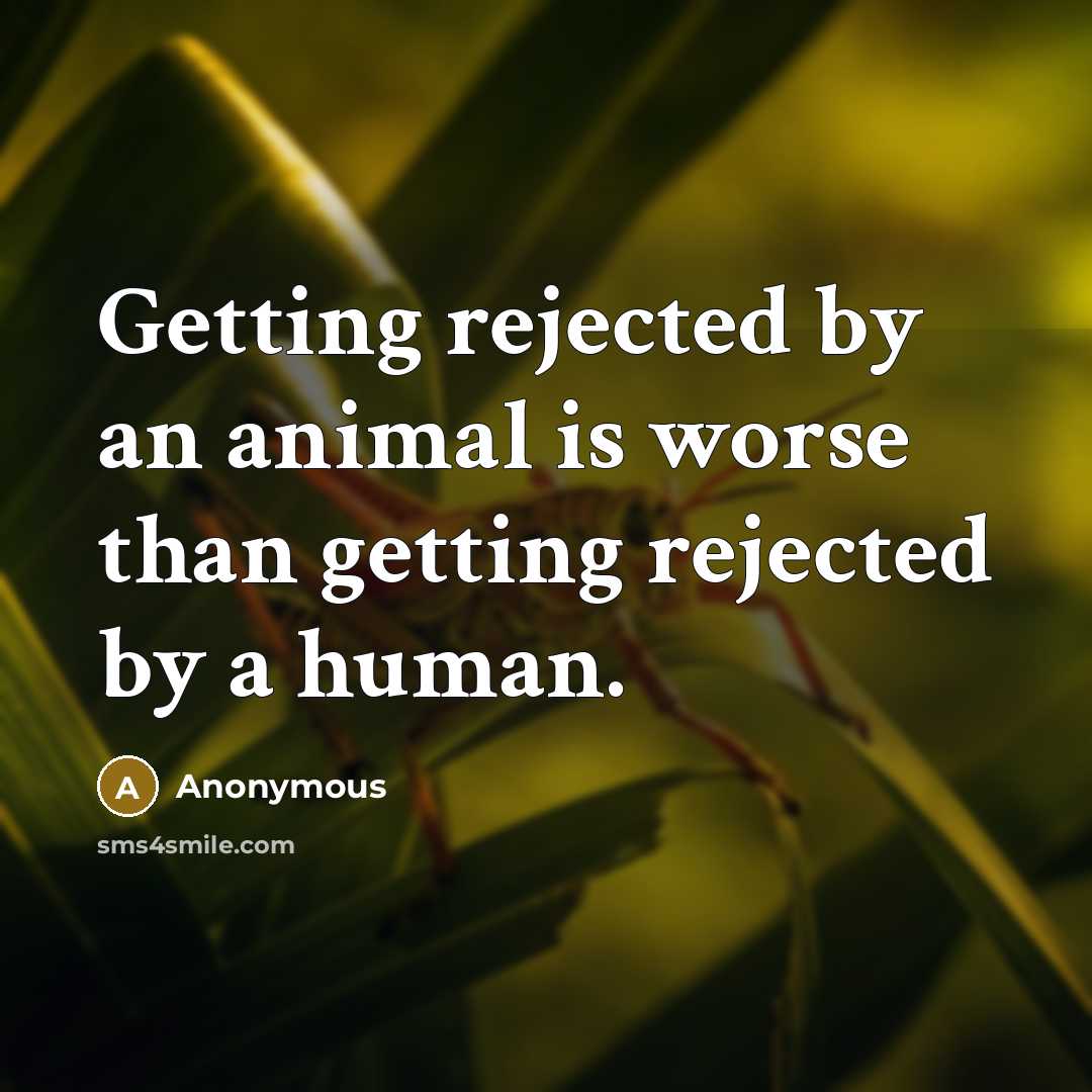 “Getting rejected by an animal is worse than getting rejected by a human.” quote by Anonymous