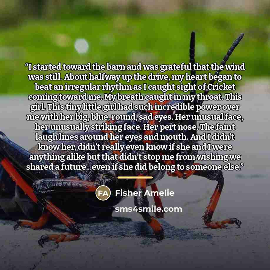 “I started toward the barn and was grateful that the wind was still. About halfway up the drive, my heart began to beat an irregular rhythm as I caught sight of Cricket coming toward me. My breath caught in my throat. This girl. This tiny little girl had such incredible power over me with her big…” quote by Fisher Amelie