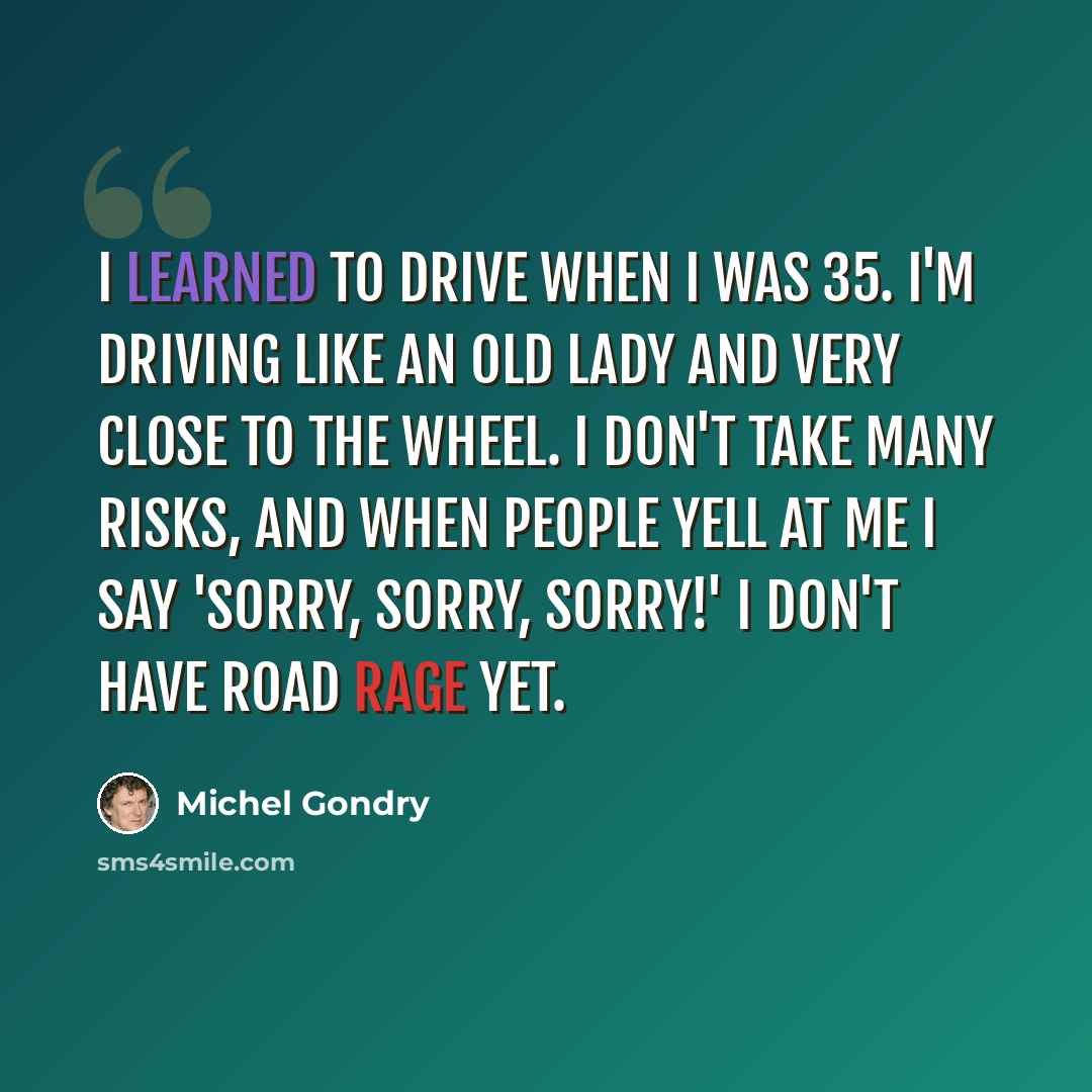 “I learned to drive when I was 35. I'm driving like an old lady and very close to the wheel. I don't take many risks, and when people yell at me I say 'sorry, sorry, sorry!' I don't have road rage yet.” quote by Michel Gondry