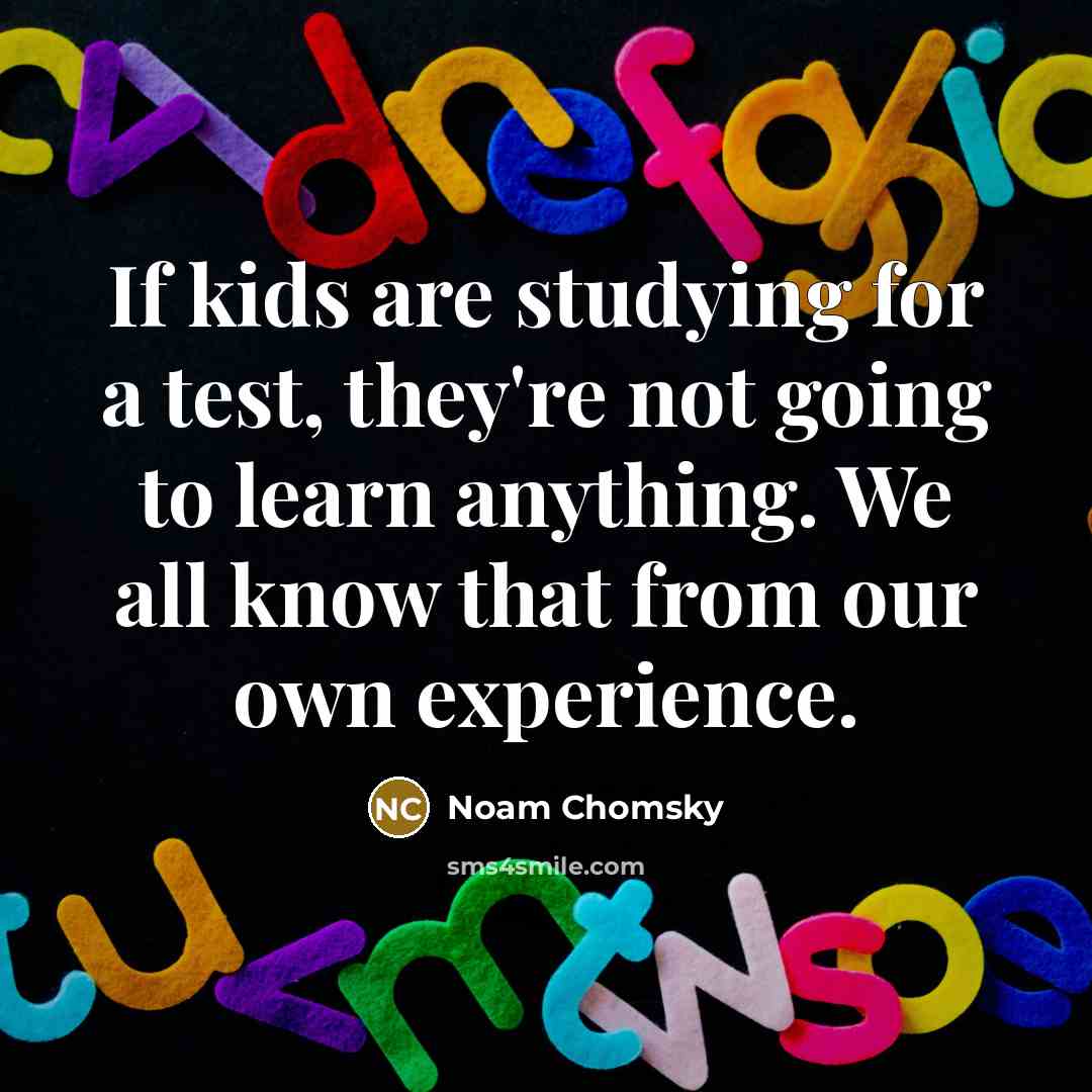 “If kids are studying for a test, they're not going to learn anything. We all know that from our own experience.” quote by Noam Chomsky