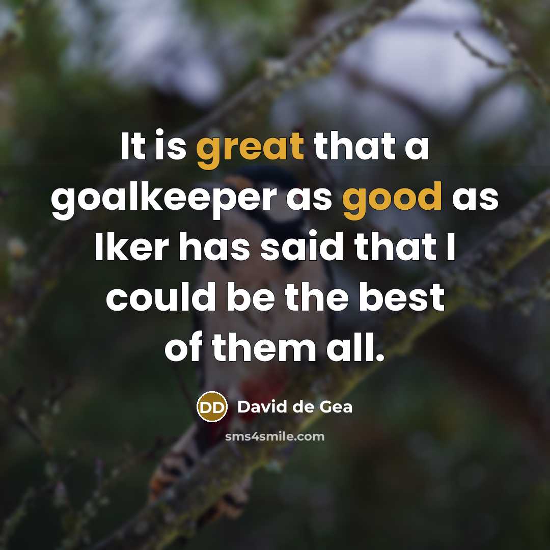 “It is great that a goalkeeper as good as Iker has said that I could be the best of them all.” quote by David de Gea