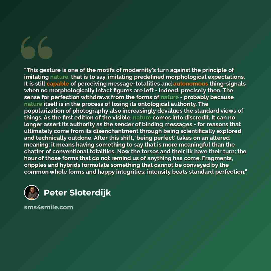“This gesture is one of the motifs of modernity's turn against the principle of imitating nature, that is to say, imitating predefined morphological expectations. It is still capable of perceiving message-totalities and autonomous thing-signals when no morphologically intact figures are left…” quote by Peter Sloterdijk