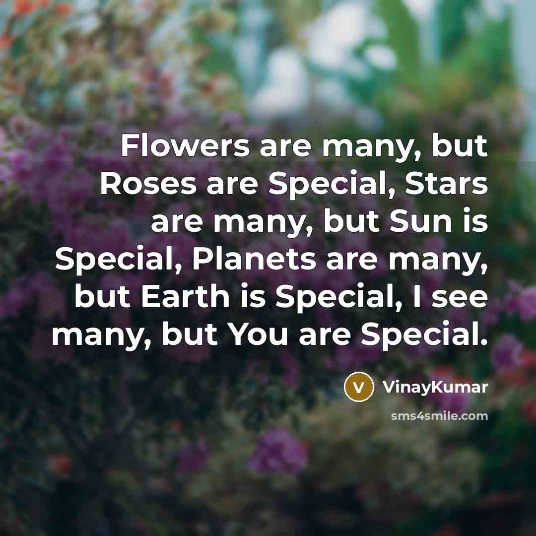 “Flowers are many, but Roses are Special, Stars are many, but Sun is Special, Planets are many, but Earth is Special, I see many, but You are Special.” quote by VinayKumar