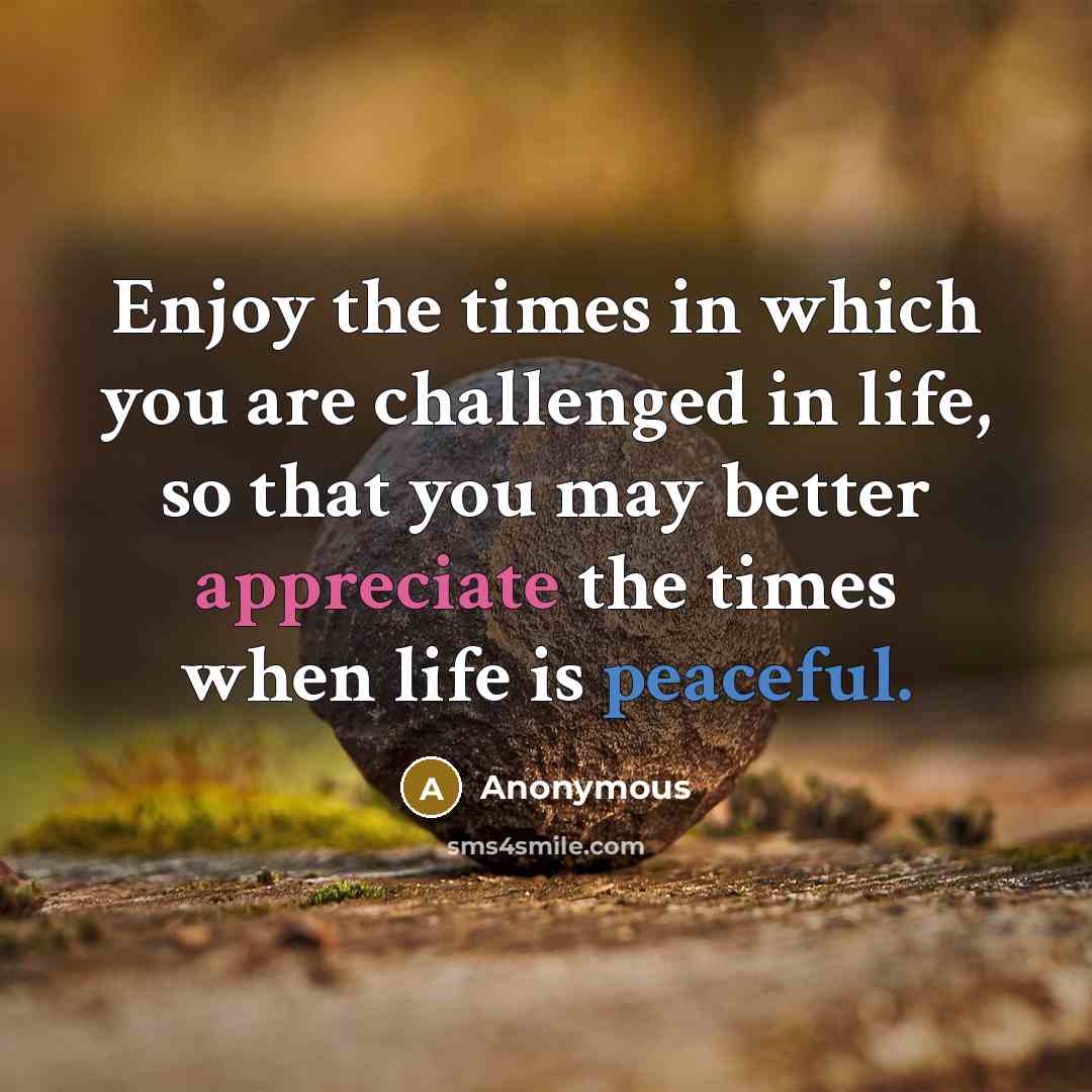 “Enjoy the times in which you are challenged in life, so that you may better appreciate the times when life is peaceful.” quote by Anonymous