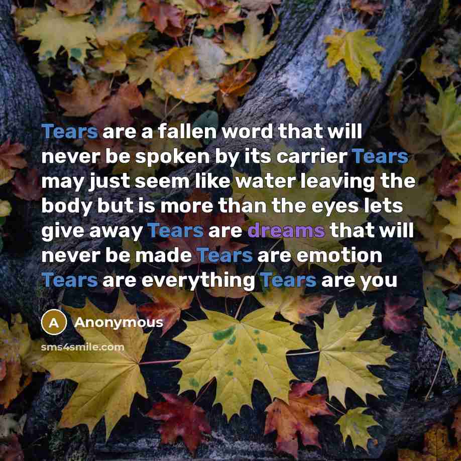 “Tears are a fallen word that will never be spoken by its carrier Tears may just seem like water leaving the body but is more than the eyes lets give away Tears are dreams that will never be made Tears are emotion Tears are everything Tears are you” quote by Anonymous