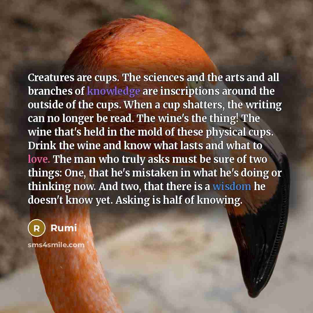 “Creatures are cups. The sciences and the arts and all branches of knowledge are inscriptions around the outside of the cups. When a cup shatters, the writing can no longer be read. The wine's the thing! The wine that's held in the mold of these physical cups. Drink the wine and know what lasts and…” quote by Rumi