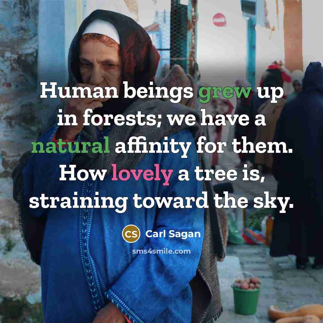 “Human beings grew up in forests; we have a natural affinity for them. How lovely a tree is, straining toward the sky.” quote by Carl Sagan