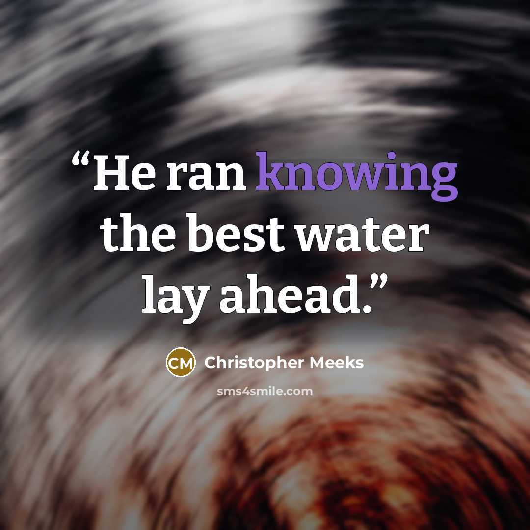 “He ran knowing the best water lay ahead.” quote by Christopher Meeks
