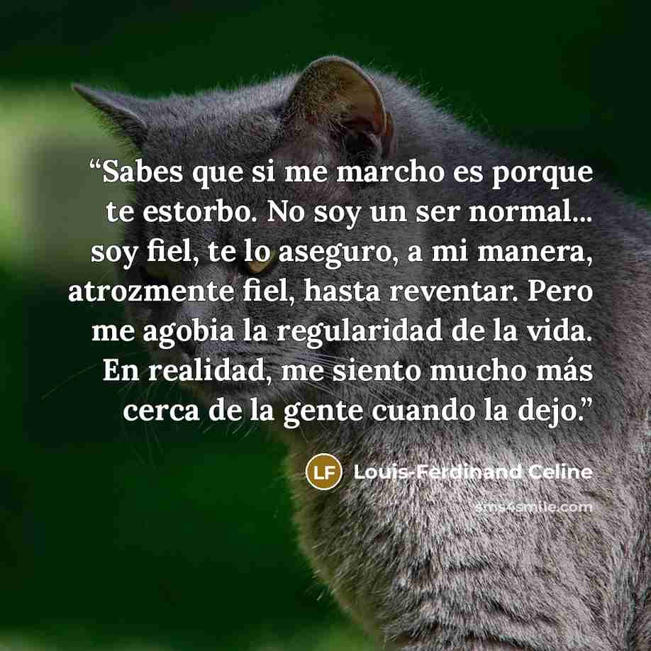 “Sabes que si me marcho es porque te estorbo. No soy un ser normal... soy fiel, te lo aseguro, a mi manera, atrozmente fiel, hasta reventar. Pero me agobia la regularidad de la vida. En realidad, me siento mucho más cerca de la gente cuando la dejo.” quote by Louis-Ferdinand Céline