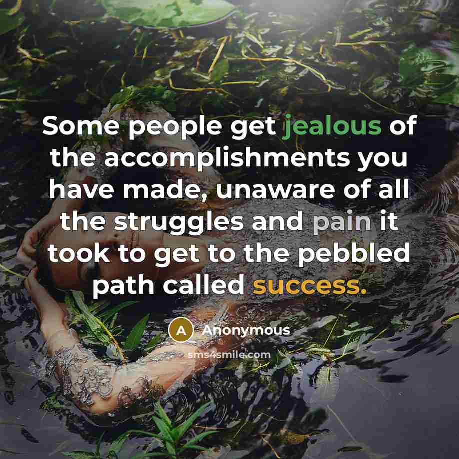 “Some people get jealous of the accomplishments you have made, unaware of all the struggles and pain it took to get to the pebbled path called success.” quote by Anonymous