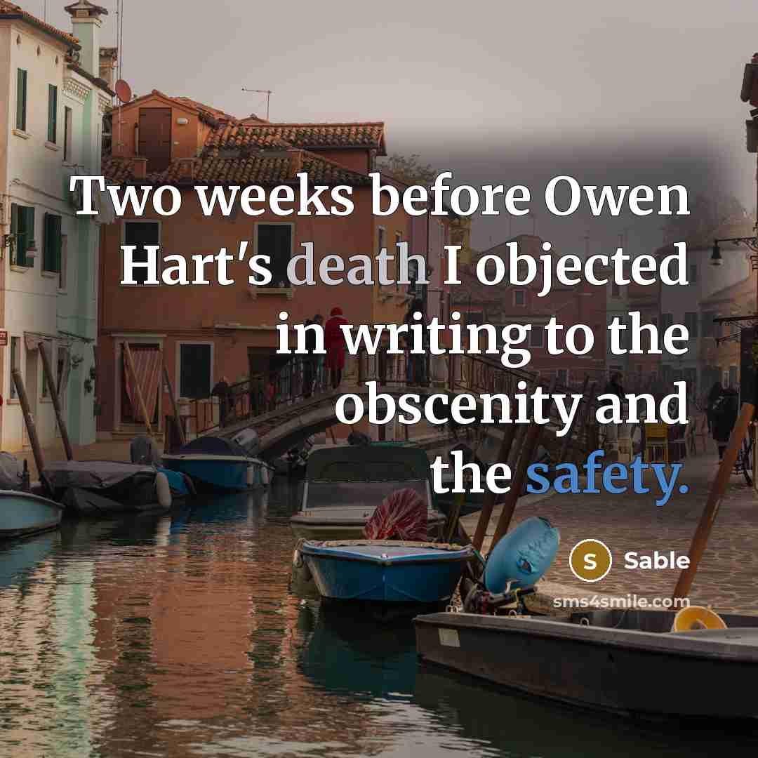 “Two weeks before Owen Hart's death I objected in writing to the obscenity and the safety.” quote by Sable