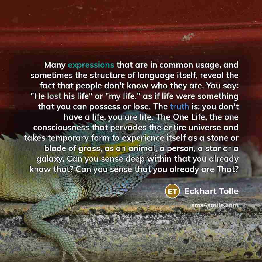 “Many expressions that are in common usage, and sometimes the structure of language itself, reveal the fact that people don't know who they are. You say: "He lost his life" or "my life," as if life were something that you can possess or lose. The truth is: you don't have a life, you are life. The…” quote by Eckhart Tolle
