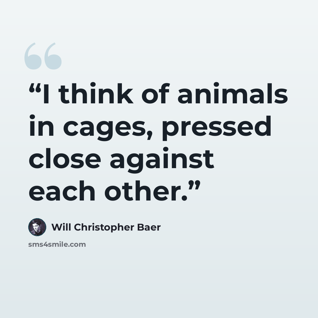 “I think of animals in cages, pressed close against each other.” quote by Will Christopher Baer