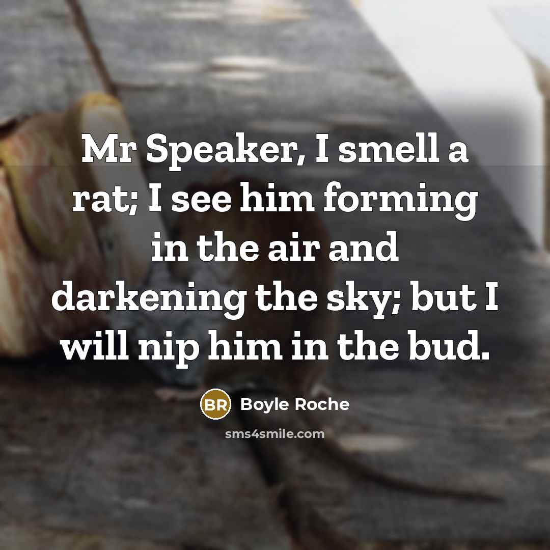 “Mr Speaker, I smell a rat; I see him forming in the air and darkening the sky; but I will nip him in the bud.” quote by Boyle Roche
